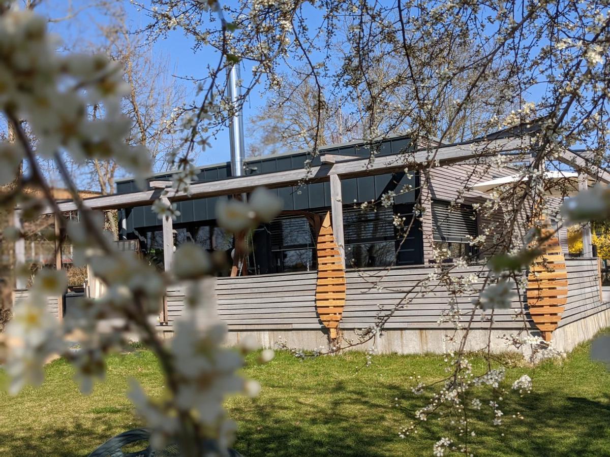 Ferienhaus Naturwerk シュヴァルツァッハ・アム・マイン エクステリア 写真