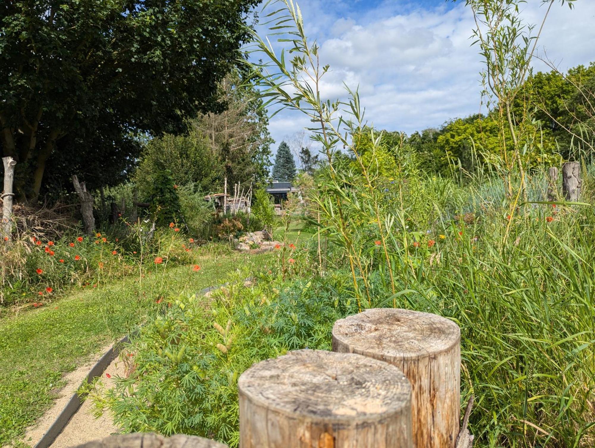 Ferienhaus Naturwerk シュヴァルツァッハ・アム・マイン エクステリア 写真